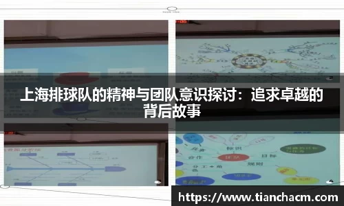 上海排球队的精神与团队意识探讨：追求卓越的背后故事